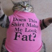 Claudia Audette's photo