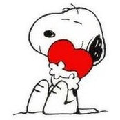 Rosemary Perfetti's photo