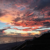 Anna Callaway's photo