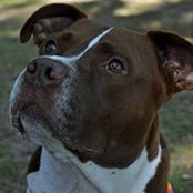 Joanne Sampson's photo