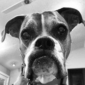 Becky Goodman's photo