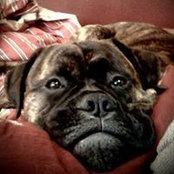 Bryce Haley's photo