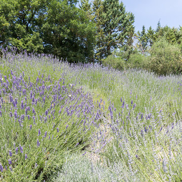 Villa nella campagna toscana con giardino