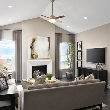 Daley model home in Colorado