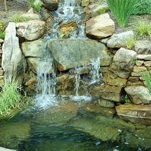 Wildlife Ponds