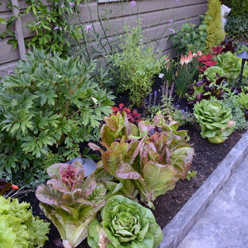 Raised Vegetable / Ornamental Garden 2015