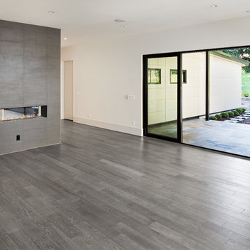 Modern Family Room