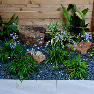 Sustainable Southgate Serenity- Houston, Texas