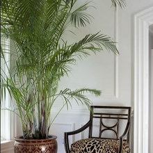 Interior Decorating