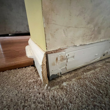 Gloucester Township, Basement Renovation