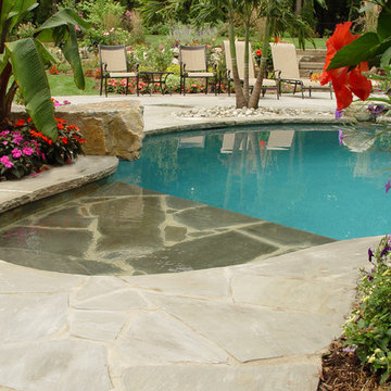 The Tropics in the suburbs