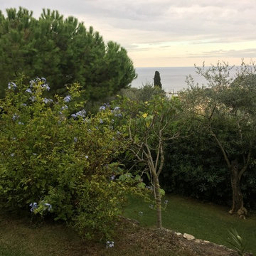 Mediterraneo