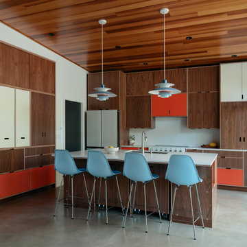 Mid-Century Home Renovation