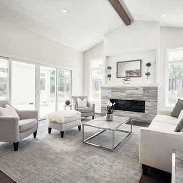 Contemporary Living Room