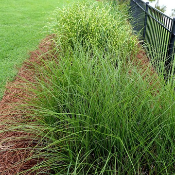 Southern Lawns