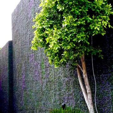 Vertical Garden Wall | Outdoor Privacy Fence | Artificial Hedge Panels