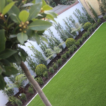 Contemporary Urban Garden