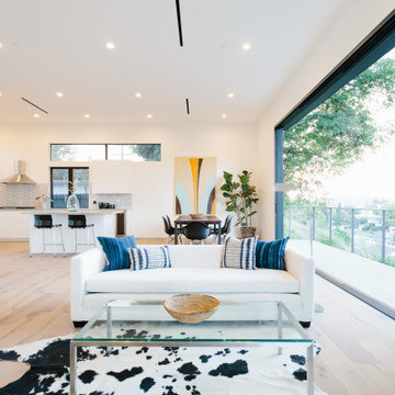 Full House Remodel