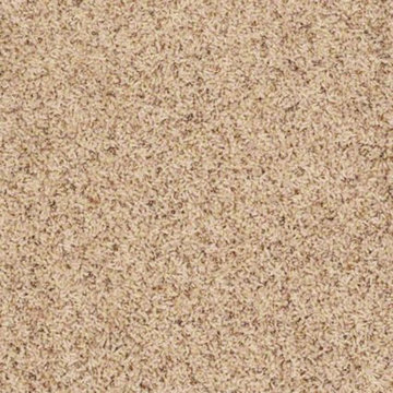 Shaw Tuftex Mystic Dream II 381 Square Feet Residential Carpet Final Sale