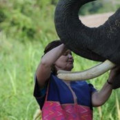 Sharon Groves's photo