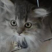 Syuwari Syazwi Nazri's photo