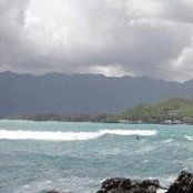 Julie Foreman's photo