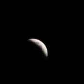 Emad Sedarous's photo