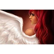 Sue Scholtz's photo