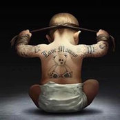 Shawn Lams foto