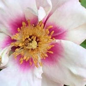Carla Parker's photo