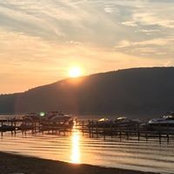 Francesca Romano Carey's photo