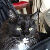 Nancy Tanguay's photo