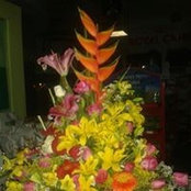 Sara Sagarnaga's photo