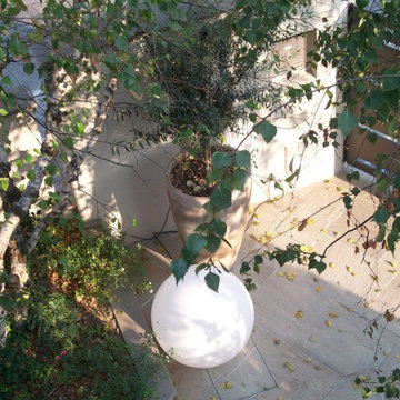 Garden P