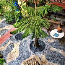 Patio Ideas