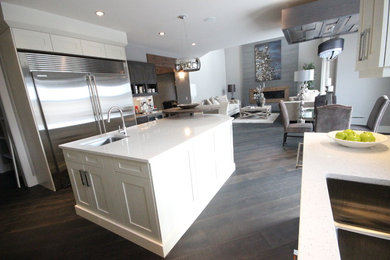 Inspiration for a large contemporary home design remodel in Edmonton
