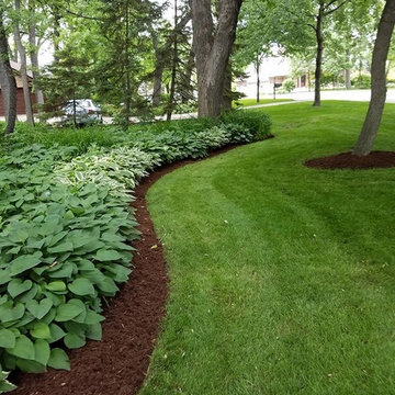 My Work