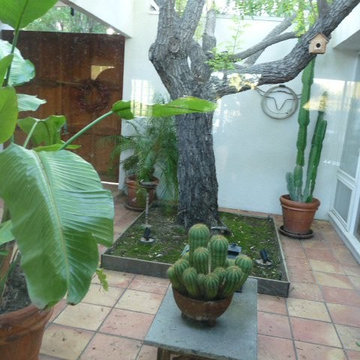 MidCentury Modern Home
