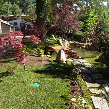 Jardin japones con estanque