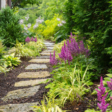 Side Yard/ Garden