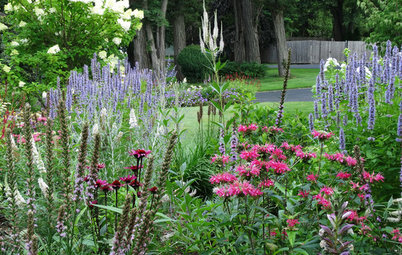 Before and After: 3 Productive Yards That Attract Pollinators