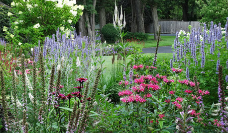 Before and After: 3 Productive Yards That Attract Pollinators