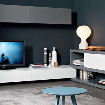 Wall Units - Media Centers - Floating Shelving - Bookcases