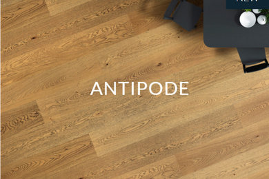 Antipode Collection