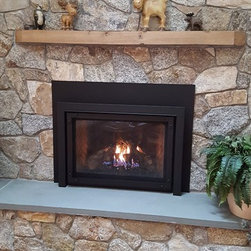 Cappella 43 Gas Insert - Indoor Fireplaces