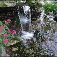 Razorback  Road Waterfall Project