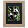 Philippe Hugonnard 'Giant Panda II' Art, Birch Frame, Black Matte, 14"x11"