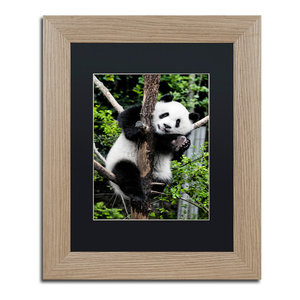 Philippe Hugonnard Panda Iii Art Contemporary Photographs By Trademark Global