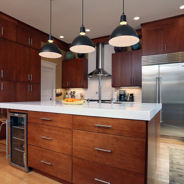 Somerville Modern Kitchen Remodel