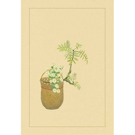 Japanese Peppers - Paper Poster 20" x 30"